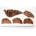 Thinly Sliced Camel Jerky