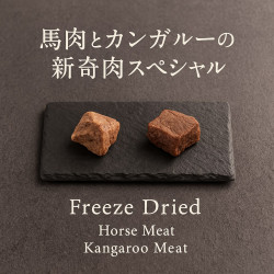 Freeze-Dried Novel Bundle