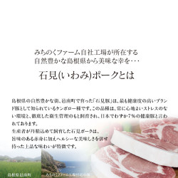 Freeze-Dried Iwami Pork