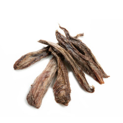 Horse shank for small dogs