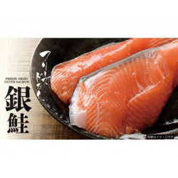 Freeze-Dried Silver Salmon