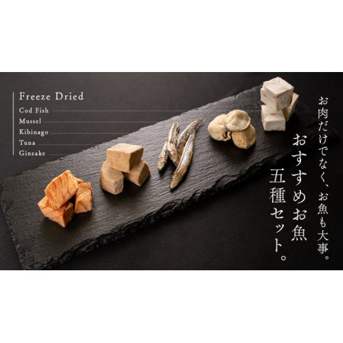 Trial Set Special Series (Freeze-Dried Fish Series)